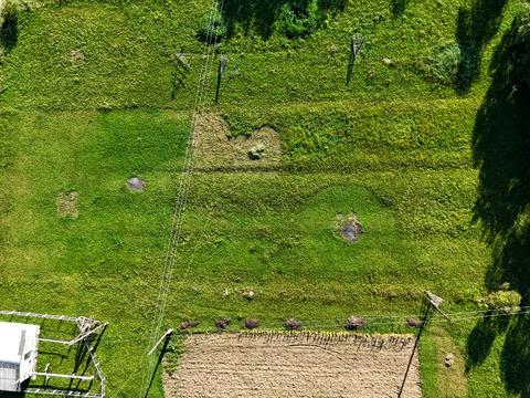 ділянка за адресою Царина