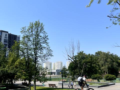 квартира за адресою Рогатинська Левада вул. (Іванівський), 22