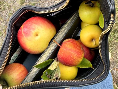 будинок за адресою Далека вул.