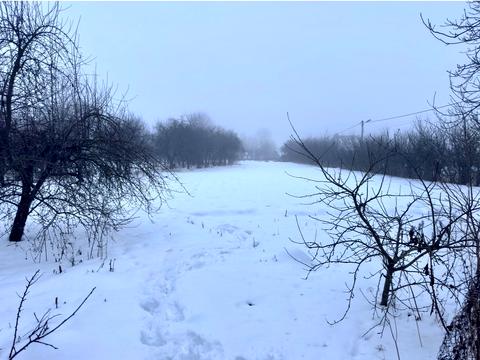 будинок за адресою Тиха (Мічуріна), 36