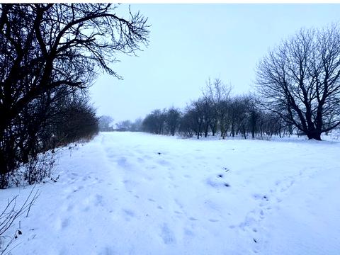 будинок за адресою Тиха (Мічуріна), 36