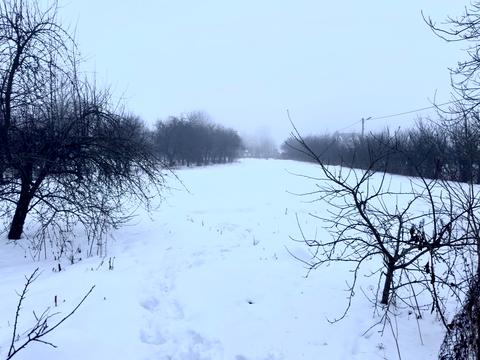 будинок за адресою Тиха (Мічуріна), 36