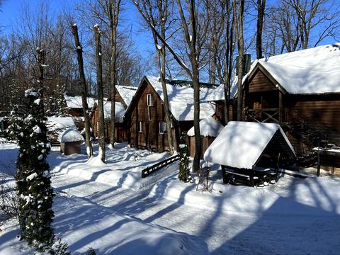 коммерческая по адресу с. Олиевка, 140км траси Київ-Чоп, 1