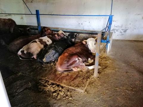 комерційна за адресою Маліновського вул., 2