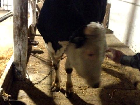 комерційна за адресою Маліновського вул., 2