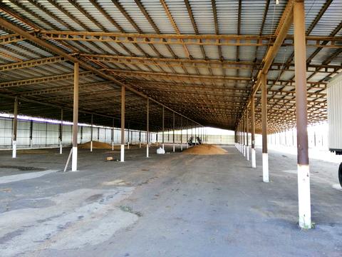 комерційна за адресою Маліновського вул., 2