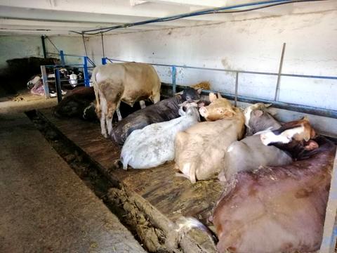 комерційна за адресою Маліновського вул., 2