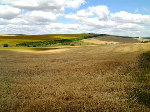 комерційна за адресою Маліновського вул., 11