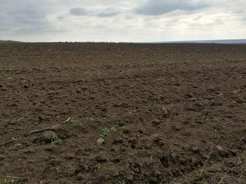 комерційна за адресою Маліновського вул., 11