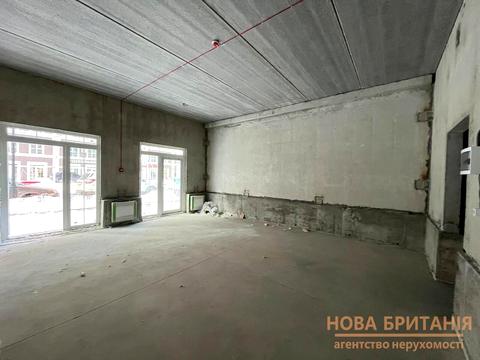 коммерческая по адресу Михаила Максимовича ул. (Трутенко Онуфрия), 24-Г