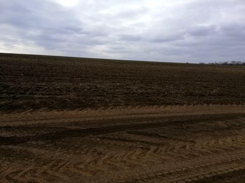 комерційна за адресою смт. Ширяєве, Весняна вул. (Радянська), 15