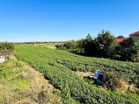 будинок за адресою 50-річчя Воз'єднання