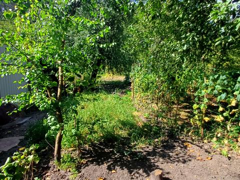 дом по адресу Святослава Ріхтера