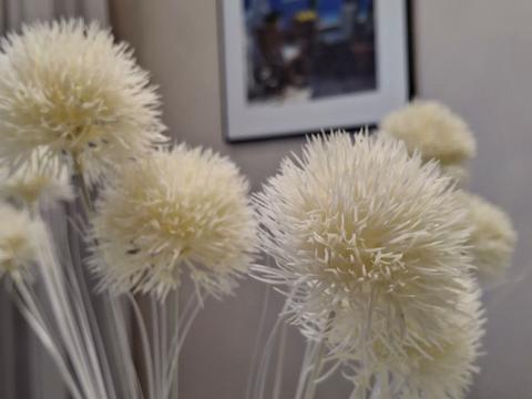 квартира по адресу Ольховая ул., 11