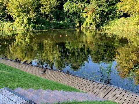 дом по адресу Мира ул.