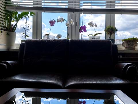 квартира по адресу Митрополита Василия Липковского ул. (Урицкого), 37-А