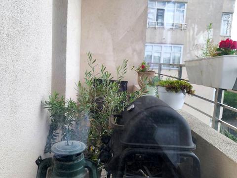 квартира по адресу Митрополита Василия Липковского ул. (Урицкого), 37-А