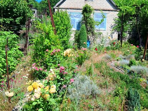 ділянка за адресою 