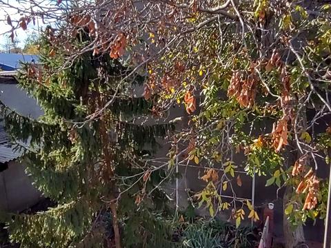 квартира за адресою Виноградний пров., 6