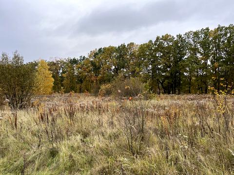 участок по адресу 