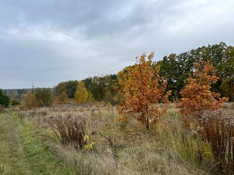 участок по адресу 