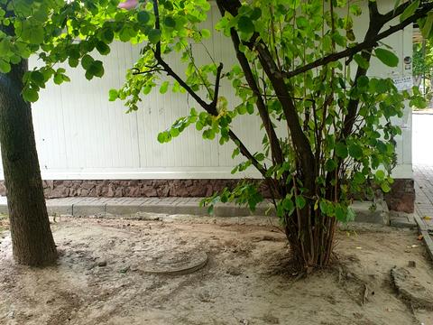 коммерческая по адресу Венская ул. (Дмитрия Карбышева), 4