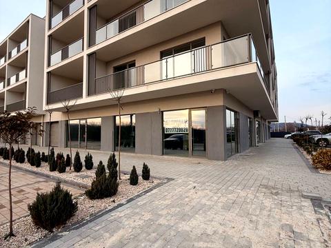 квартира за адресою Доманинська вул., (Будинок)