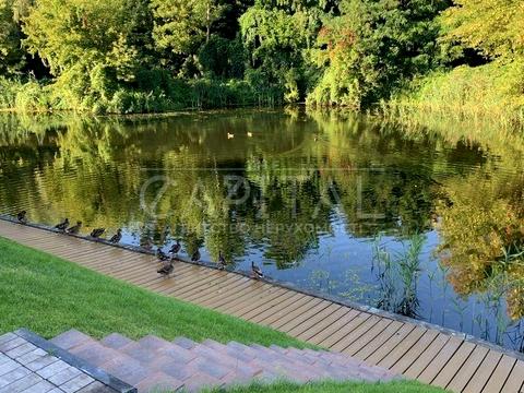 будинок за адресою смт. Козин, Київська вул.