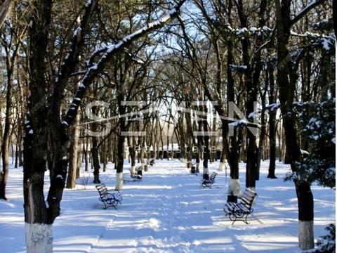 квартира за адресою Дмитра Чижевського вул. (Петра Чаадаєва), 2-А