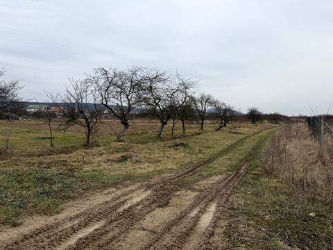 ділянка за адресою 