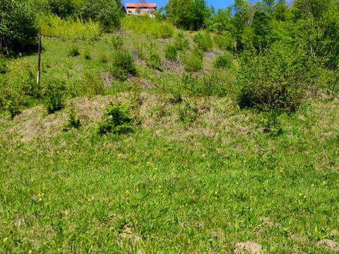 ділянка за адресою Дора