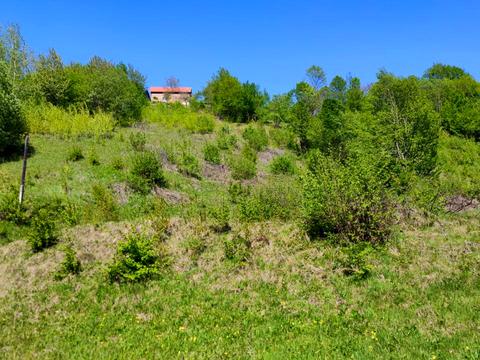 ділянка за адресою Дора