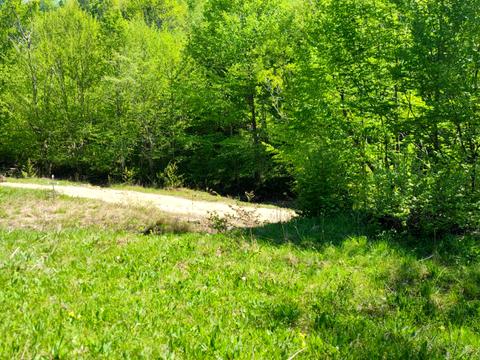 ділянка за адресою Дора