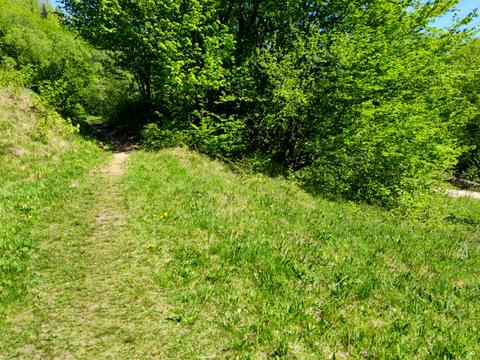 ділянка за адресою Дора