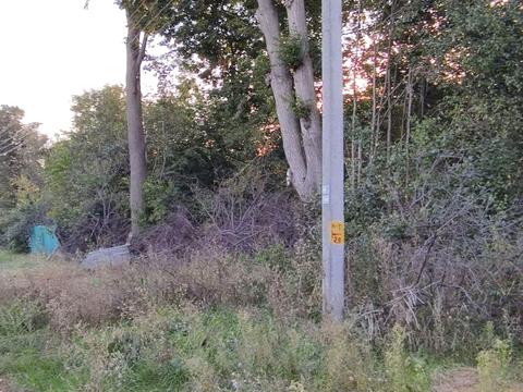 ділянка за адресою с. Шибене, Шевченка