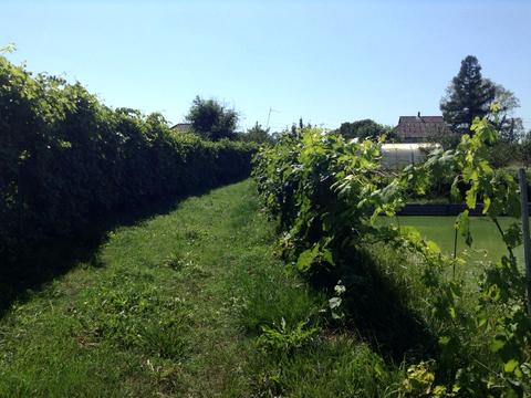 дом по адресу Жовтнева