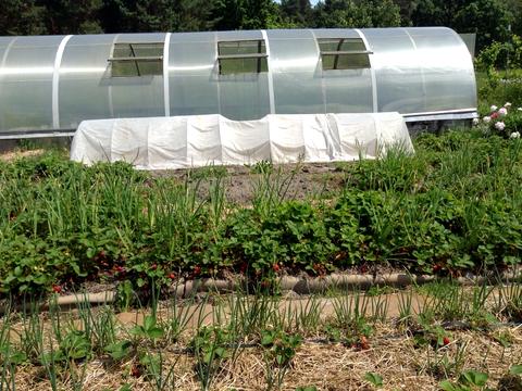 дом по адресу Жовтнева