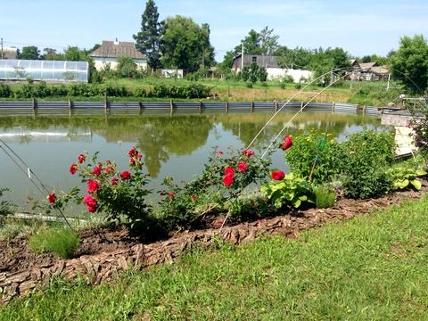 дом по адресу Жовтнева