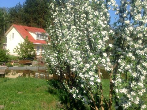 дом по адресу Жовтнева