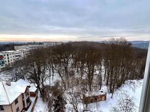 квартира по адресу Жасминовая ул., 11