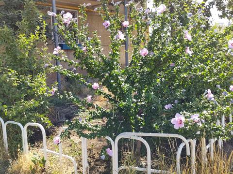 квартира за адресою Бугаївська вул., 46/2