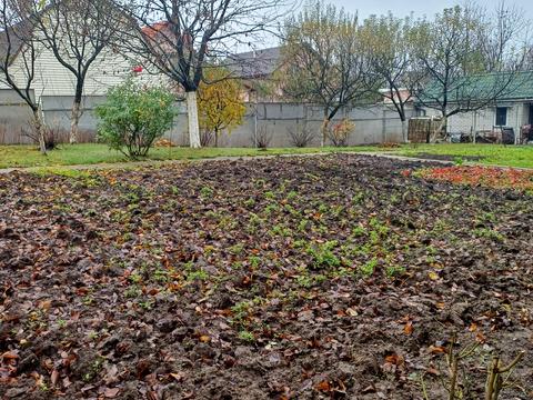 будинок за адресою Василя Максютова вул., 12