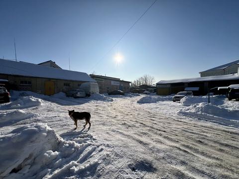 участок по адресу Трояновская ул. (Якіра), 3