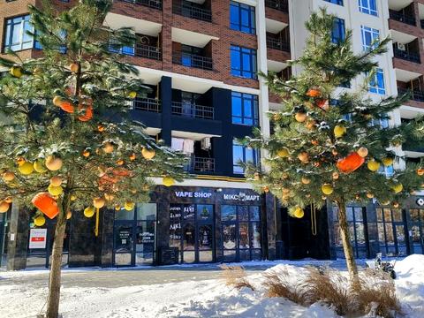 квартира за адресою Ольги Кобилянської вул. (Достоєвського), 1-В/4