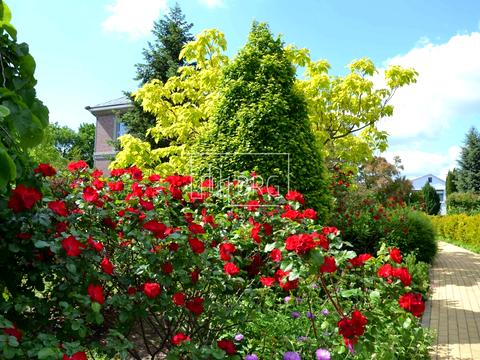 дом по адресу Лесная