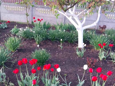 будинок за адресою Корсунська, 7