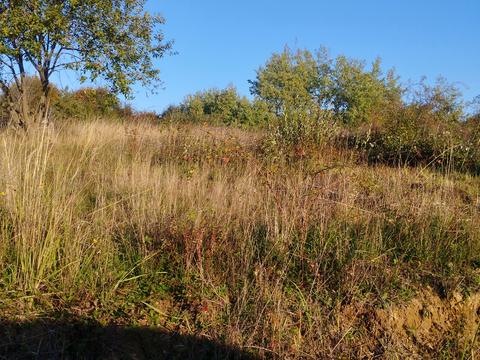 ділянка за адресою с. Барвінок, Садова