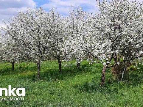 будинок за адресою Романа Сушка вул.