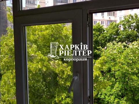 квартира за адресою 23 Серпня пров., 7