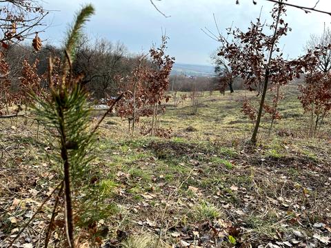 участок по адресу 